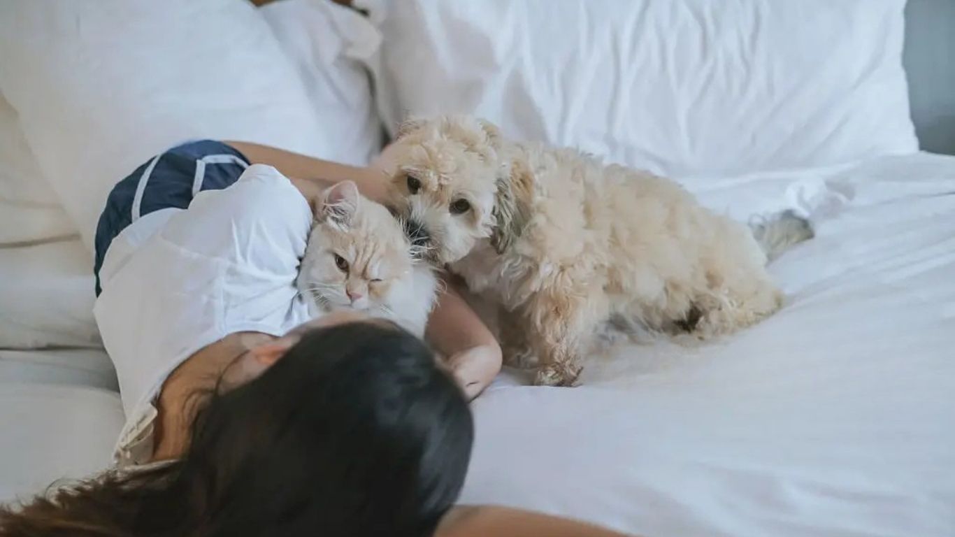 How to fit a duvet cover